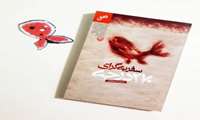 سفر به گرای 270 درجه