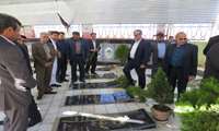 گرامیداشت هفته جهادکشاورزی در سازمان جهادکشاورزی استان سیستان و بلوچستان