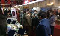 بازدید مسئولان وجهادگران از نمایشگاه دستاوردهای دفاع مقدس در سازمان جهادکشاورزی استان خراسان رضوی