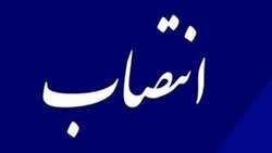 انتصاب
