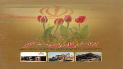 لاله‌های بی سنگر