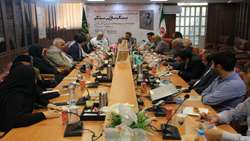 نقد و بررسی کتاب «سنگرساز بی سنگر»، روایت مستند از زندگی جهادگرشهید سید محمد تقی رضوی